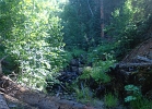 Rocky Mountain Marathon - Thrusday